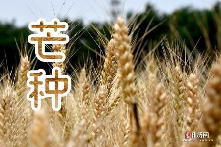 金命交运之日：忌讳事项与转运法则全面解析