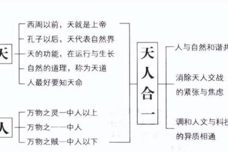 探寻易经智慧：天命之人的命运解读与人生启示
