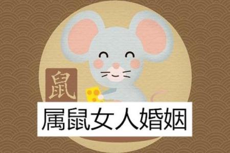 2020年：庚子鼠年，揭示命运与人生变革的启示