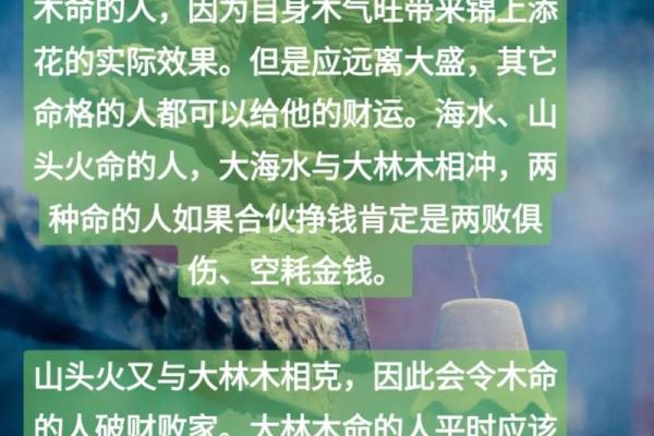 探秘大林木：揭开木命背后的神秘面纱