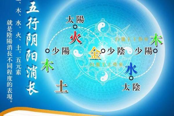 探秘大林木：揭开木命背后的神秘面纱