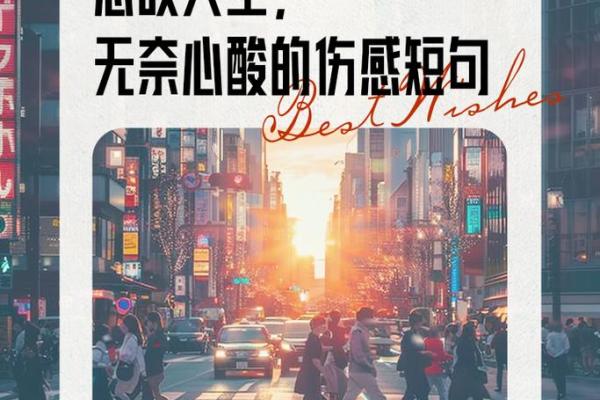 命运的捉弄：在无奈中寻找人生的意义