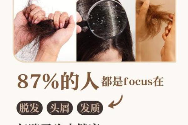 头发坚硬的人：性格命运的隐秘启示