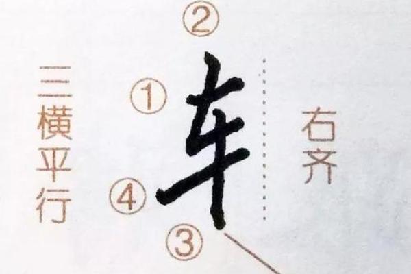 理解“命”字的部首及其深刻含义