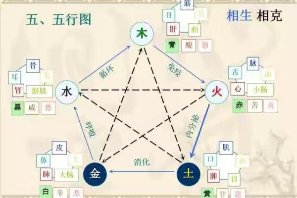 探秘命运:通过“五行”了解你的命格与性格 探秘命运:通过“五行”了解你的命格与性格