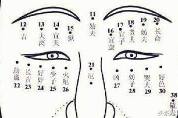 阴历10月25日出生的命运解析：探索你的人生密码与性格特征