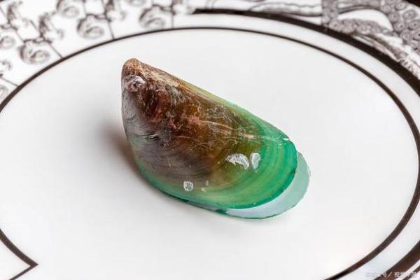 水命之人适合佩戴的饰品与珠宝解析 水命之人适合佩戴的饰品与珠宝解析