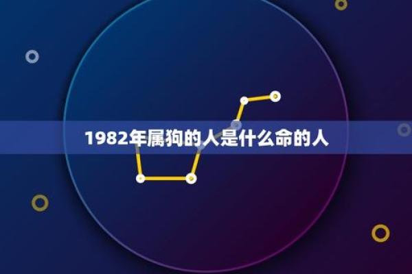 探秘1977年属狗人的命运与性格特征