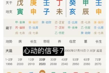 解读食神正官印的命格：成功与智慧的完美结合