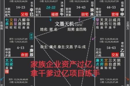 探秘男命廉贞身主文昌的深层寓意与影响