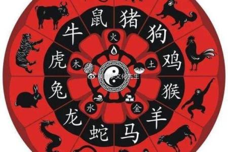 探秘农历属相：哪些命格最为上乘？