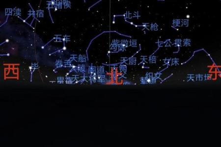 甲辰年出生的人命运解析：揭示你的星宿与人生轨迹