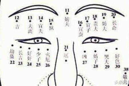 阴历10月25日出生的命运解析：探索你的人生密码与性格特征