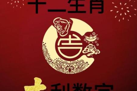 62岁属虎的人命理分析与人生智慧
