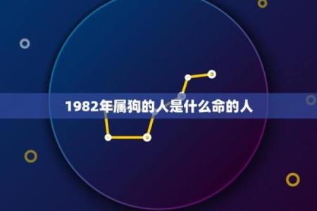 探秘1977年属狗人的命运与性格特征