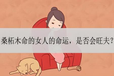 探究桑柘木命：五行之中的独特魅力与命运解析