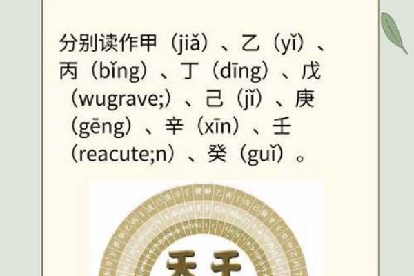 探秘癸丁甲乙四种命格，解读命运与性格的奥秘