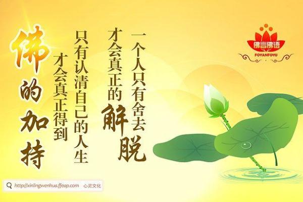 52岁属什么？2023年命理揭秘与人生智慧分享