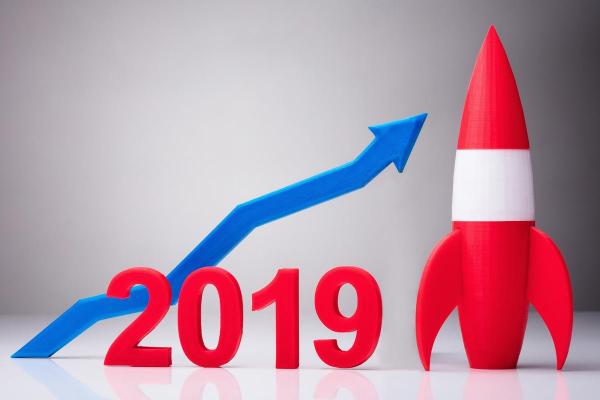 2019猪年属猪人命理分析：解读缺失与提升之道