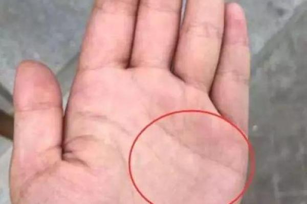 探寻富贵命的属相：谁是命中注定的财富之星？