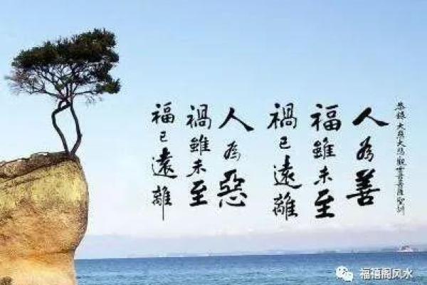 揭开“衰命”之谜：与生肖命理的深刻联系