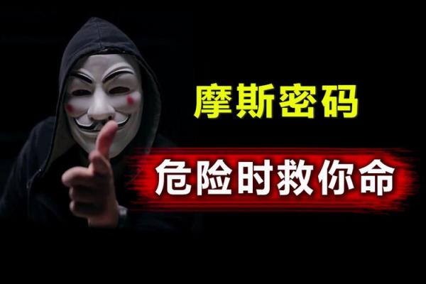解秘“什么人什么命”：网络用语中的命运密码与自我认知
