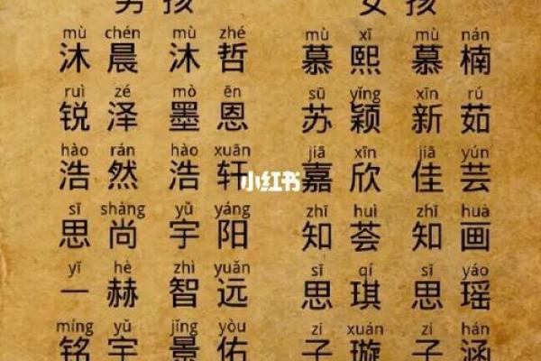 今日虎宝宝的命运与运势探秘：生于虎年的人生轨迹解析