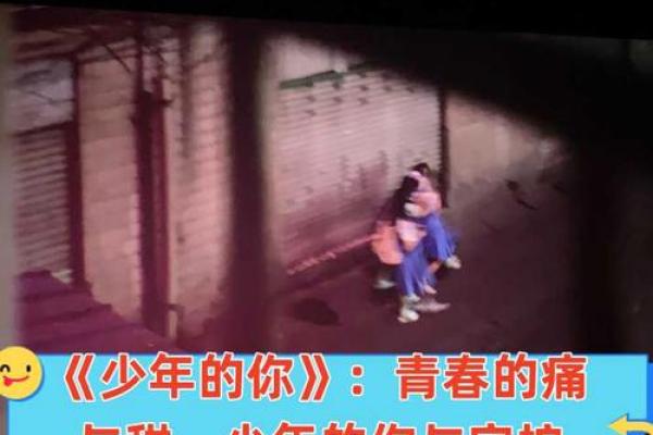 探秘2014年木马命运：一场人与马的命运交织之旅