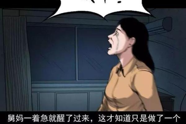从麻雀转世而来的命运：一场灵魂之旅的启示