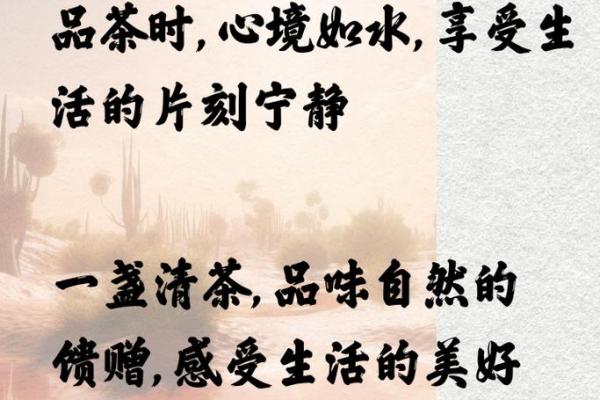 探秘宁静的命理：她的内心世界与人生哲学