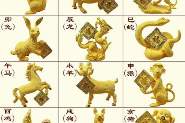 鼠命人适合的行业全解析：发现你职业发展的最佳方向！