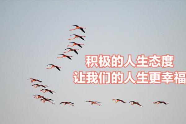探讨中运命理：劳心劳力之人如何找到人生的平衡与幸福