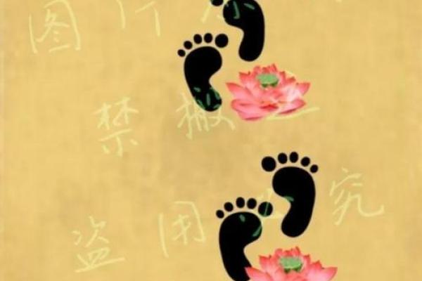 探讨成语的深意：从“缘木求鱼”到“画蛇添足”