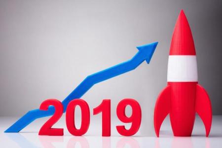 2019猪年属猪人命理分析：解读缺失与提升之道