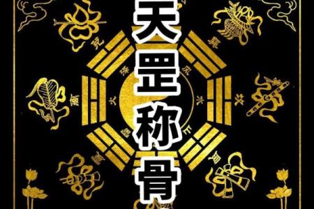看命理必备：下载这些软件，助你洞察未来！