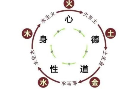 水命与木命的完美结合：如何选择最佳木命伴侣