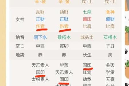 从命理格局看人生命运的奥秘与启示