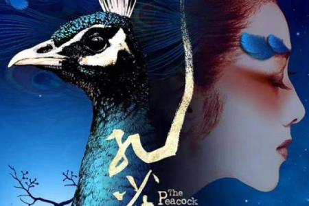 探索杨丽萍的脸型与命运的奇妙联系