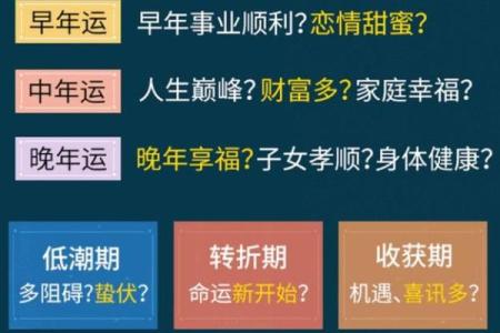 解秘“什么人什么命”：网络用语中的命运密码与自我认知