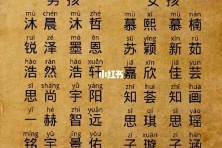 今日虎宝宝的命运与运势探秘：生于虎年的人生轨迹解析