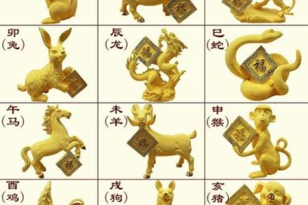 鼠命人适合的行业全解析：发现你职业发展的最佳方向！