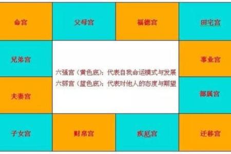 《宫墙内的秘密：一位皇妃的命运之旅》