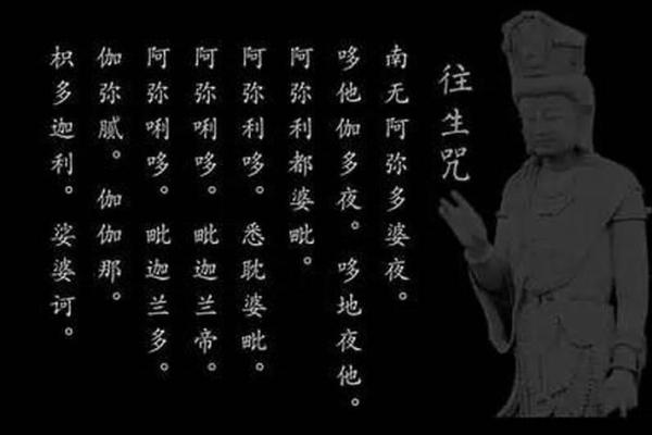 金马命的命理解析与首饰佩戴指南：找到你的灵魂之饰！
