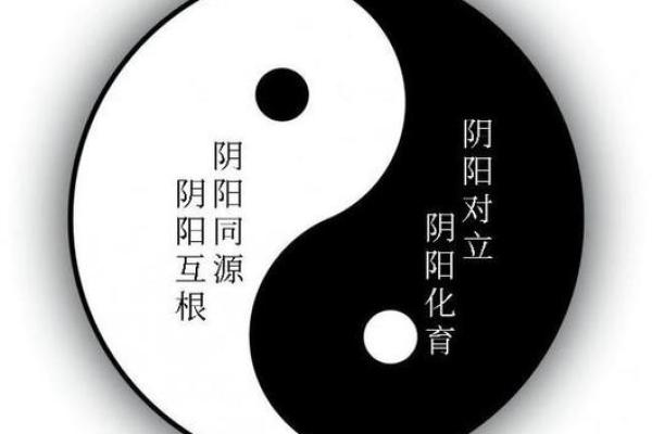金木相克：命理中的深奥对立与和谐之道