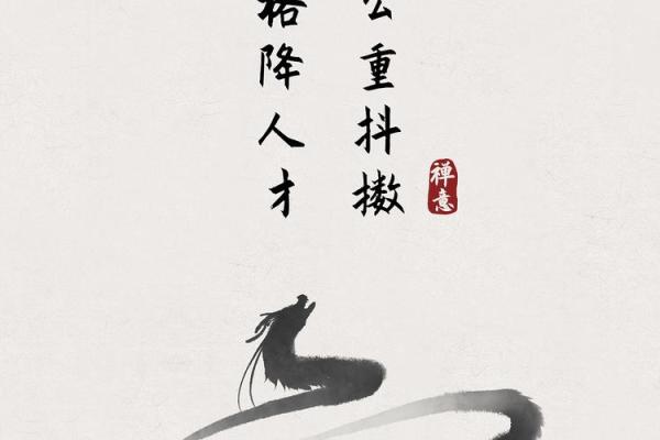 探索“一条命”与“五条命”的哲学内涵与生活启示