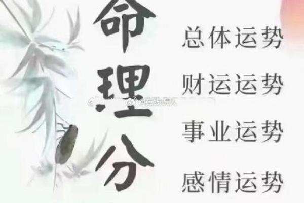 脾气最好的人命运：温和性格对应的命理解析与运势探讨
