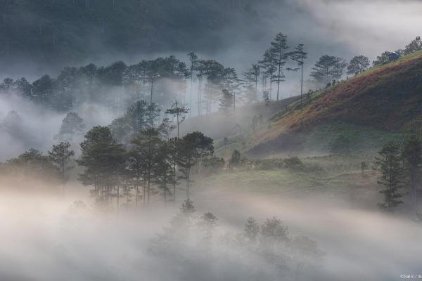 漂泊的人生：寻找归属的灵魂之旅