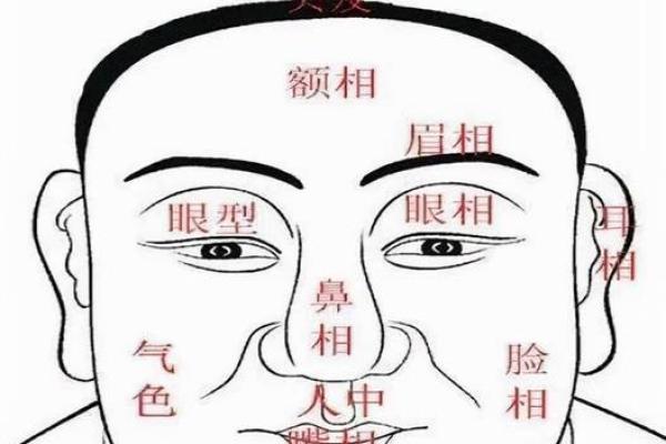 看眉短的男人命运，如何影响人生与性格