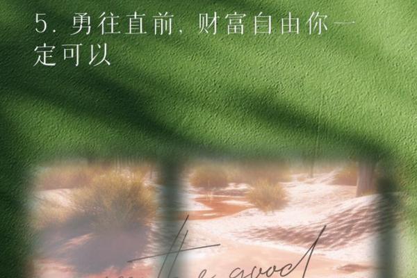 探寻富裕命背后的秘密：人生幸福的法则与财富之道