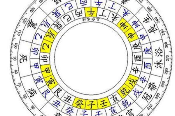 火命人士的理想户型选择：提升运势与生活品质的秘诀